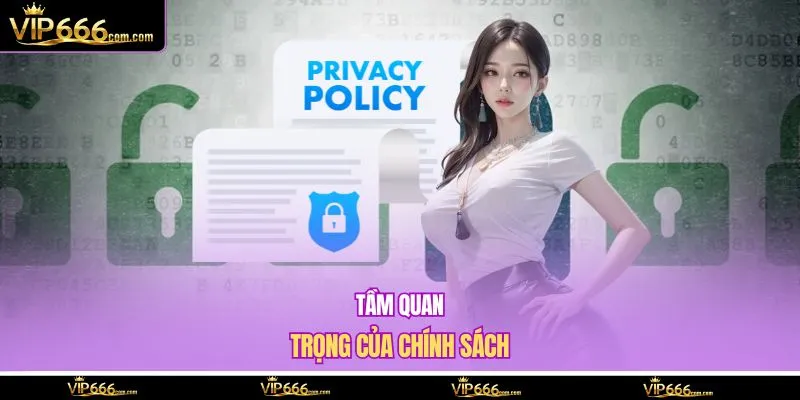 Tầm quan trọng của chính sách