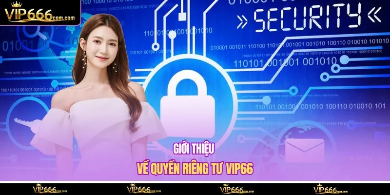 Giới thiệu về quyền riêng tư VIP66